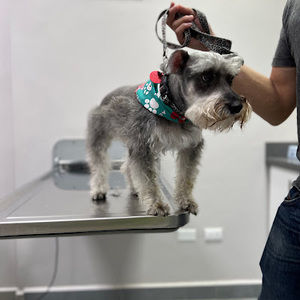 Meet your Posher, Maclosetsale